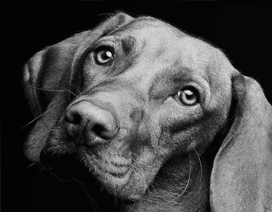 05. ImagePlus™: Make Lifelike Photo Engraving